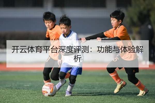 开云体育平台深度评测：功能与体验解析